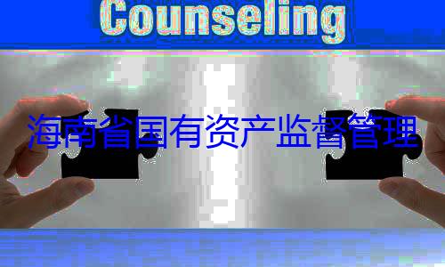 有福接受审委副书记王海南省国有资产监督管查调查理委员会党